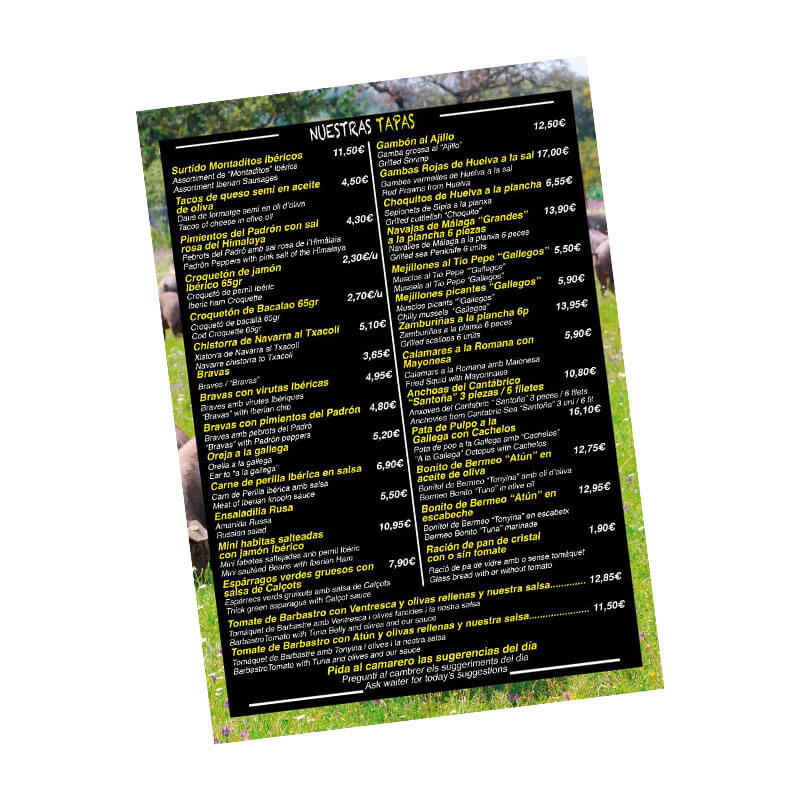 Carta restaurant PVC irrompible