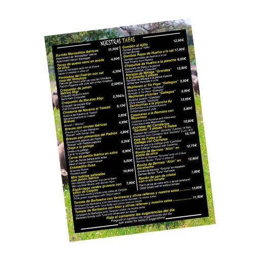 Carta restaurant PVC irrompible